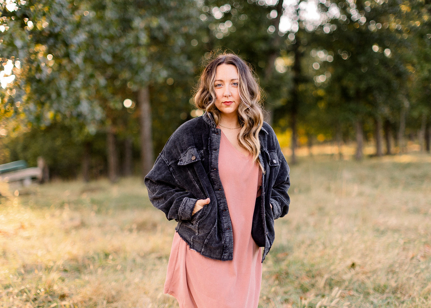 Chambray V Neck Dress